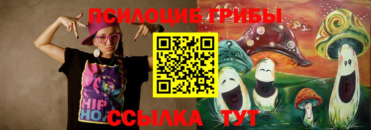 Псилоцибиновые грибы мицелий Ливны