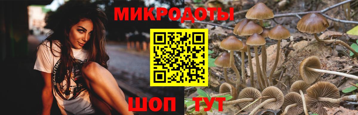 Галлюциногенные грибы ЛСД  Галлюциногенные грибы мицелий  Ливны  Вход с VPN 